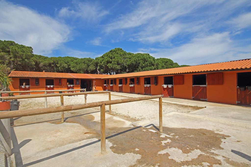 Villa Quinta Da Bicuda à Cascais Extérieur photo
